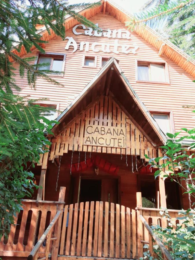 Cabana Ancutei Rucăr Exterior foto