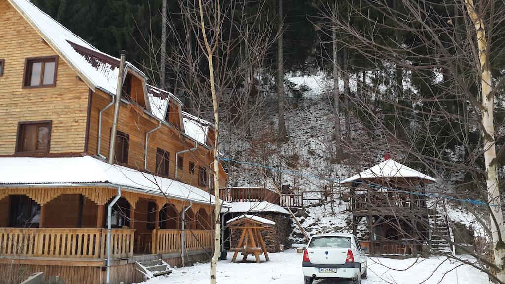 Cabana Ancutei Rucăr Exterior foto