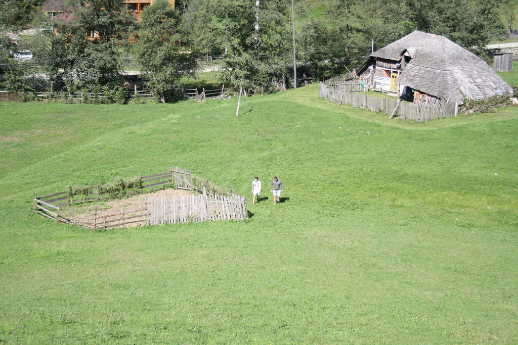 Cabana Ancutei Rucăr Exterior foto