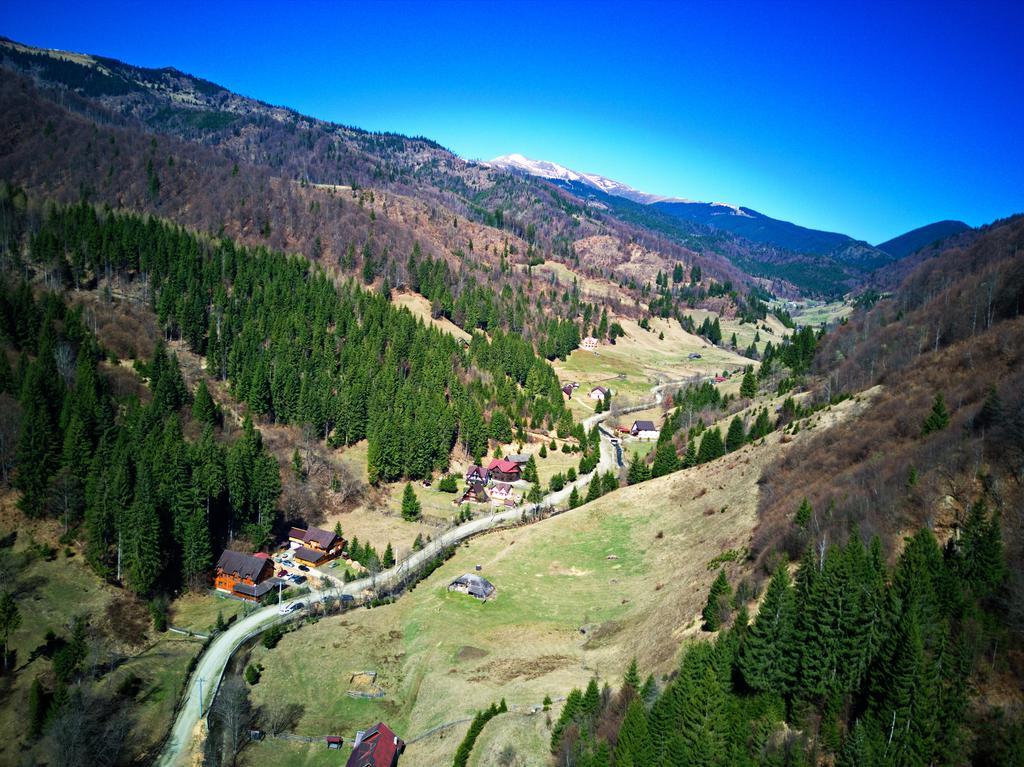 Cabana Ancutei Rucăr Exterior foto
