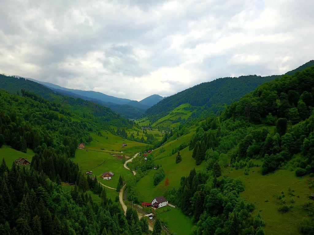 Cabana Ancutei Rucăr Exterior foto